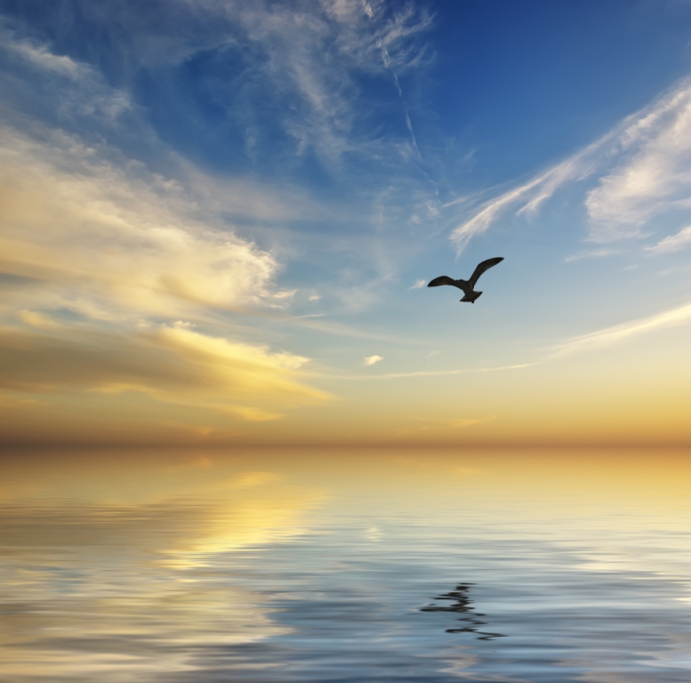 LAKE CLUB фото анонса объекта