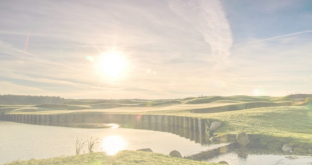 ЗАВИДОВО  фото анонса объекта